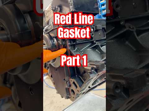 Part 1 Of The Red Line Gasket Shorts